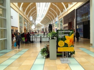 Shopping Centre guide St Davids Level 1
