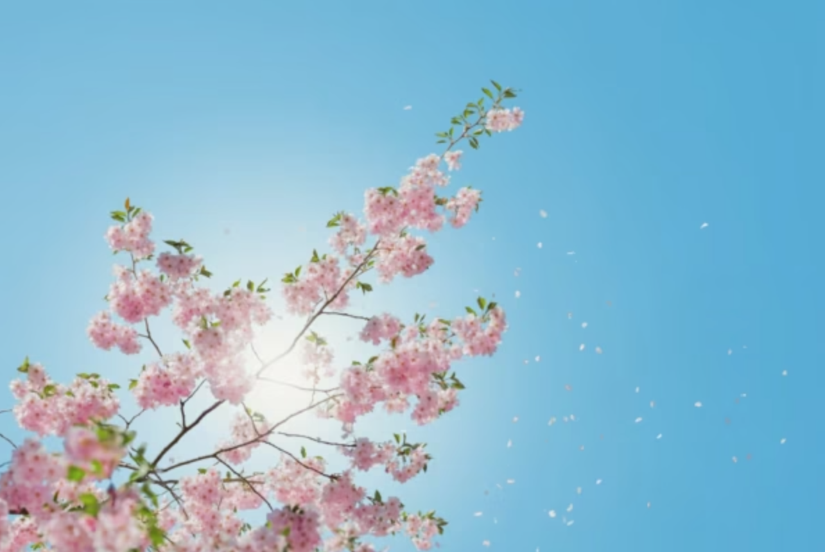 First day of spring