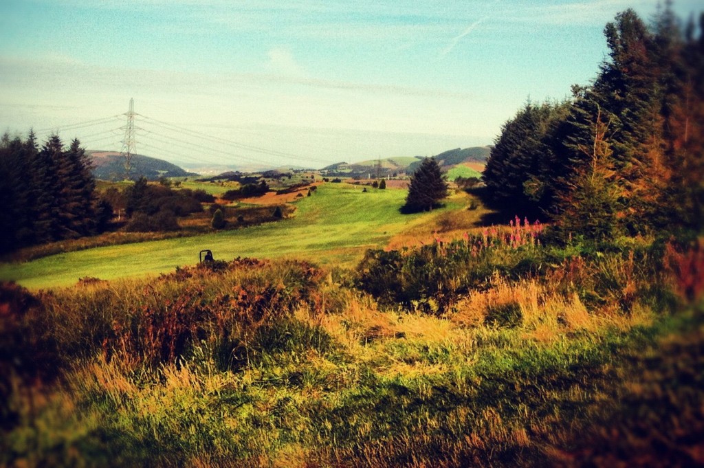 MaestegJPG