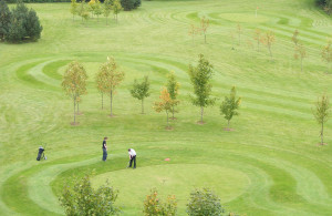 Father's day - cardiff pitch and putt