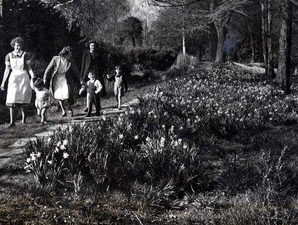 The History of Roath Park