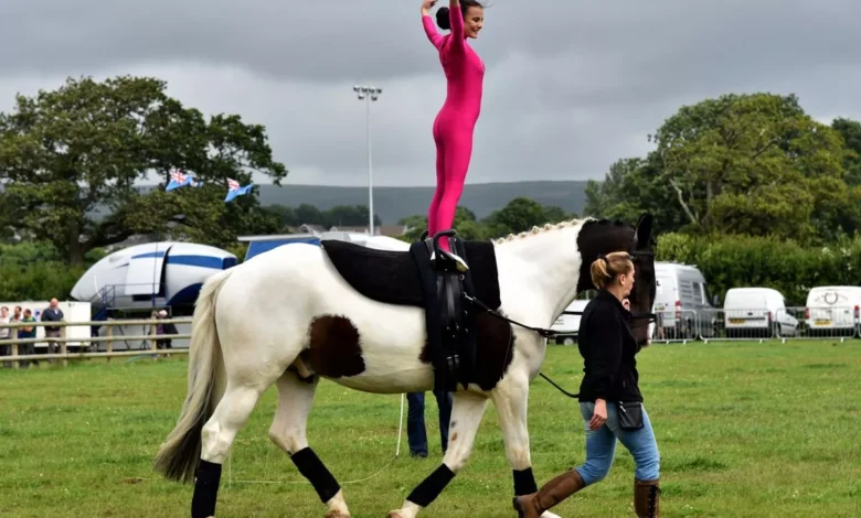 Bridgend county show