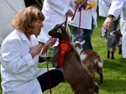 Bridgend county show prize giving