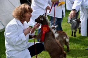 Bridgend county show prize giving