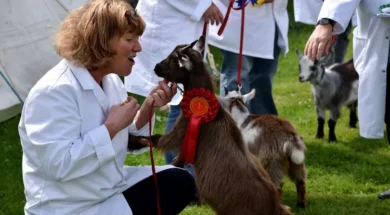 Bridgend county show prize giving