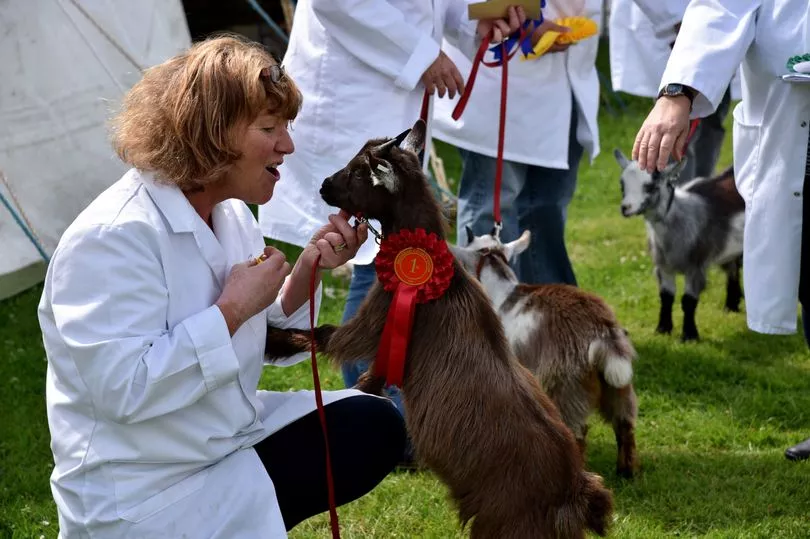 The 70th Bridgend County Show was a roaring success