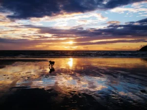 Welsh beaches