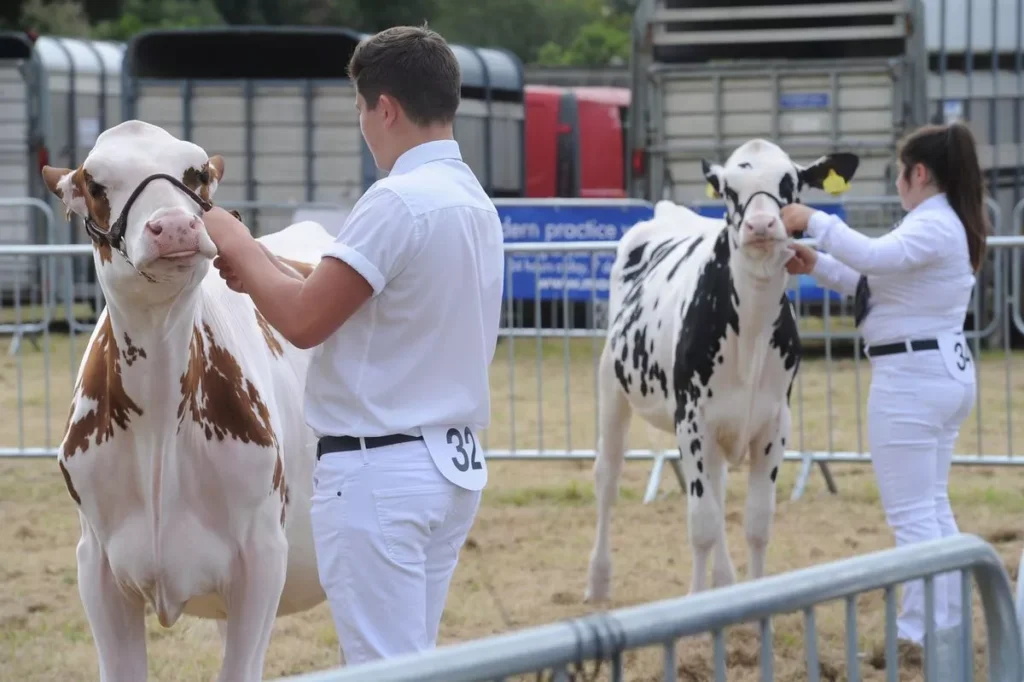 Vale of Glamorgan show