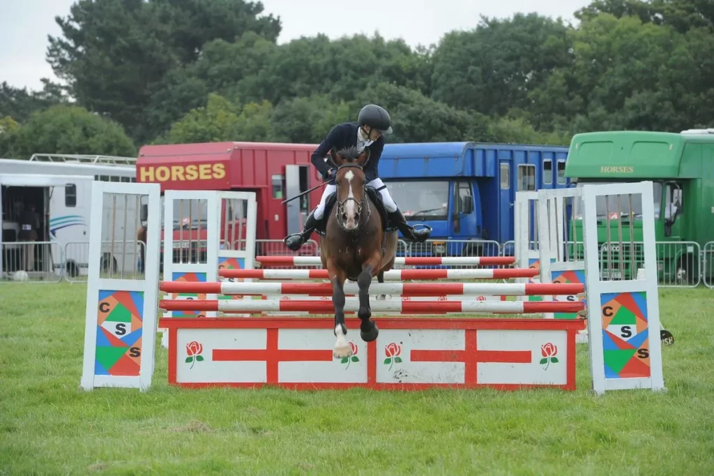 Vale of Glamorgan show - showjumping