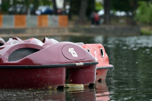 Blue-Green algae - Roath Park lake algae boats