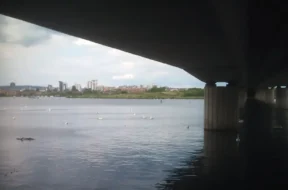 _95253578_elyriver.jpg