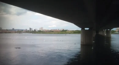 _95253578_elyriver.jpg