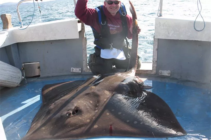 Welsh fisherman hauls in record-breaking 235lb monster skate