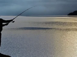 fishing laws