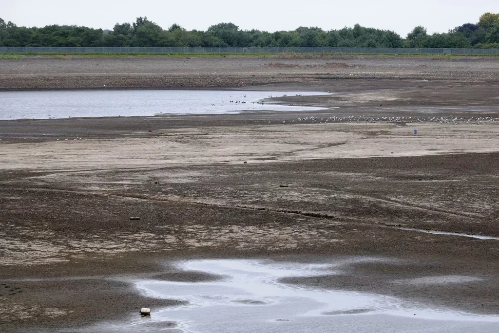 Llanishen Reservoir 