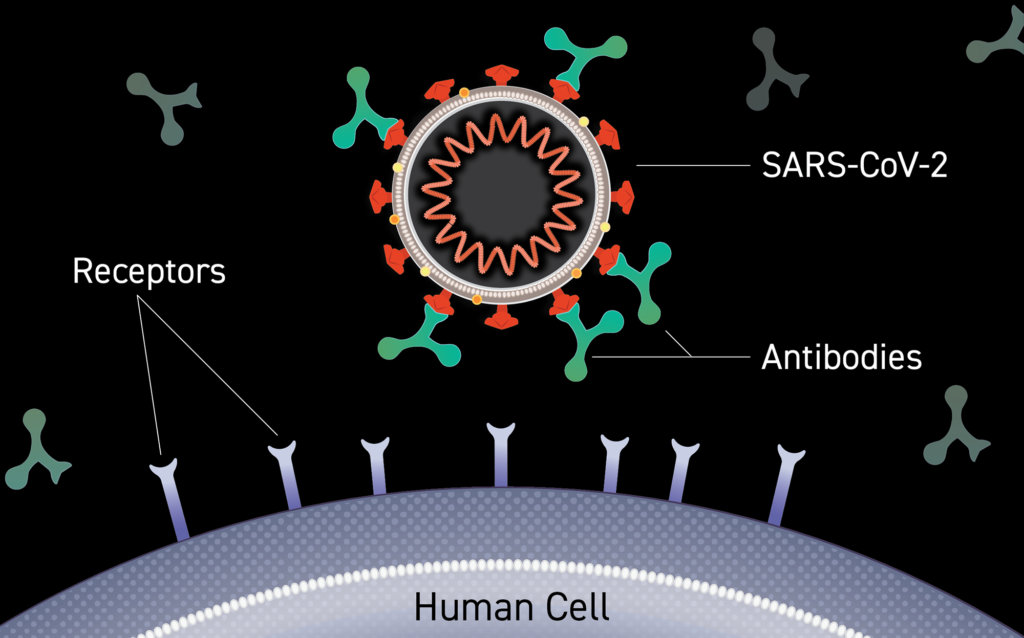 What are the Alternatives to Coronavirus Vaccinations.