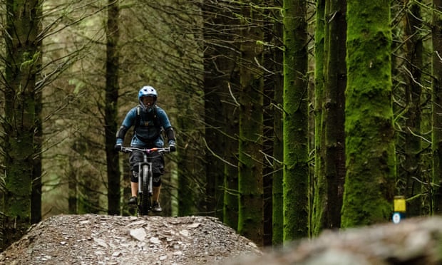 Mountain Biking trails