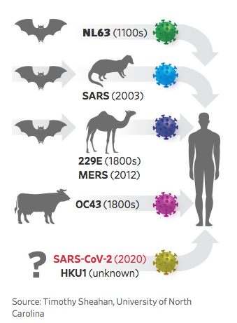 coronavirus-types