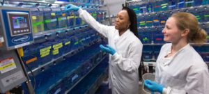 RNA Vaccine Development and drug development