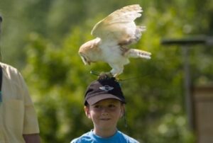 Kids holiday activities