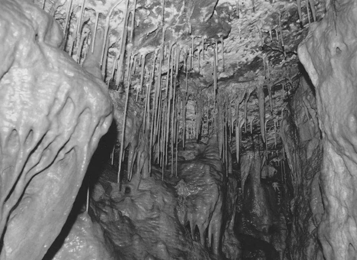 Cardiff caves