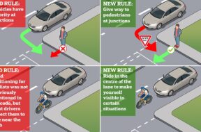 driving laws