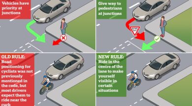 driving laws